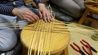 20171007_105459594.jpg