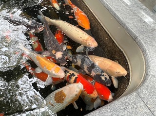 ４月１３日教室.jpg
