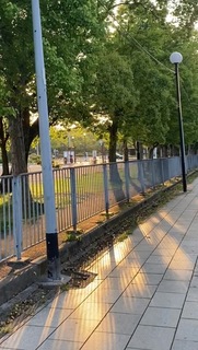 IMG_1404.jpeg