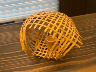 IMG_2559.jpeg