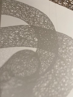 IMG_2563.jpeg
