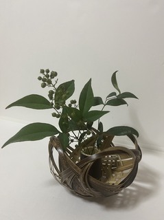 IMG_4193.jpeg