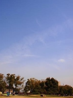 IMG_4728.jpg