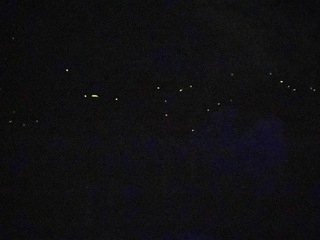 IMG_8695.jpeg