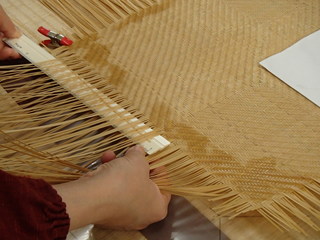 P1070024.JPG