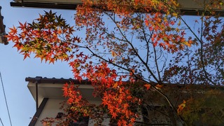PXL_20211125_234407366-ebd8b.jpg